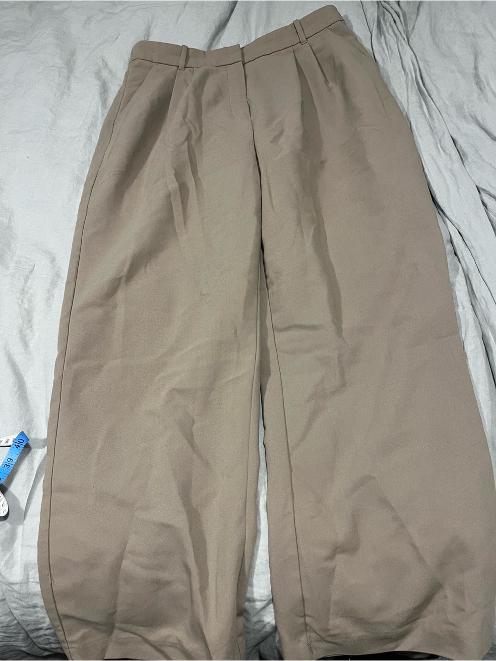 Abercrombie & Fitch Wide-Leg Pleated Pants - Taupe